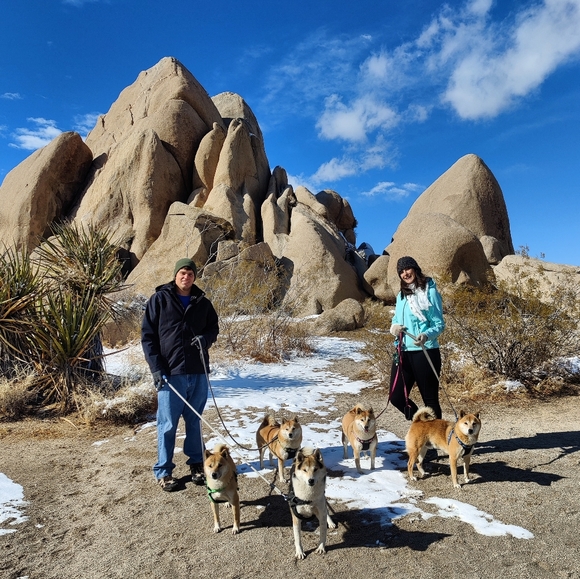 Meet Your Posher, Maxyne - Picture 3 of 6